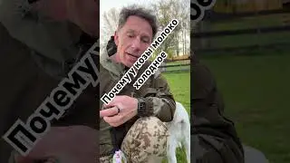 Козье молоко холодное!