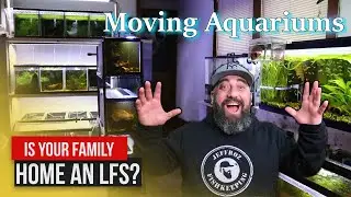Is your Home like a Fish Store?