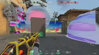 exterminating oce