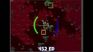 SOLO ED - TIBIA PK