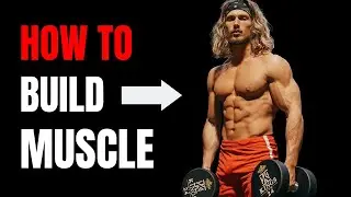 How To Build Muscle (The importance of recovery)