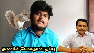 அணில் தான் காரணம் |  Minister Senthil balaji Anil issue