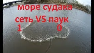 Кастинговая сеть VS паук Петровича 6м, язь, судак! обь!
