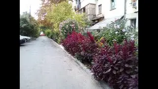 Севастополь улица Правды v/s Департамент Городского Хозяйства Часть 2