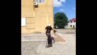 Топ-9 трюков на самокате 🛴!!