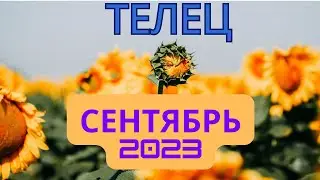 🌻Прогноз для Тельца 🌞 СЕНТЯБРЬ 2023🥤🍇