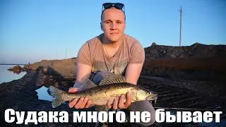 Крупный судак на джиг.