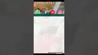 Como colocar papel de parede no whatsapp e da tela