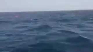 Des pêcheurs marocains sauvent des clandestins marocains