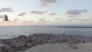 Sunrise in Haulover Beach, FL 3-9-17