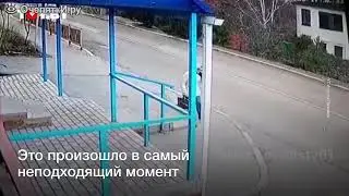 Упала прямо под автобус и чудом выжила