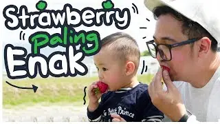 BERBURU STRAWBERRY TERENAK DI DUNIA!! [ Japan Vlog ]