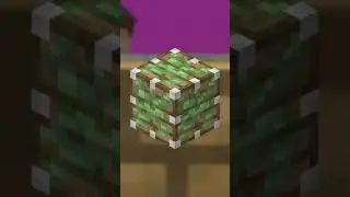 ФАКТЫ о блоке Поршень в Minecraft