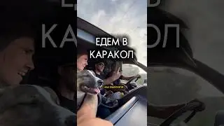 ВОКРУГ ИССЫК-КУЛЯ  #влог #блог #природа #собака #путешествие