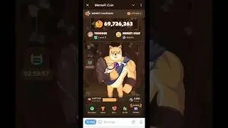 Today's memefi secret tap combo code #memefi