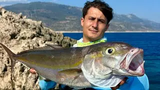 SHORE JIGGING KUZU AVI (AMBERJACK)
