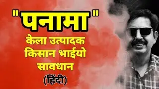 मध्यप्रदेश, महाराष्ट्र - केला उत्पादक किसान भाईयो, सावधान पनामा आ गया है|#केळी लागवड