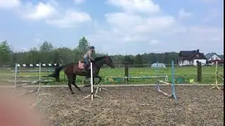 IMG 10902