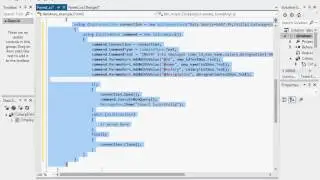 Insert Query and delete data from database through binding navigator in C#