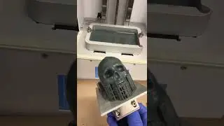 Череп напечатанный на фотополимерном 3Д-принтере 