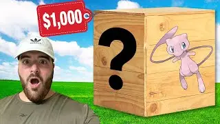 I Open a $1,000 Mew Mystery Box!