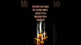 16 июня 2024 г.