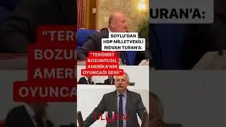 Bakan Soylu'dan HDP'li vekile: 
