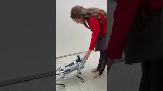 АРХ МОСКВА 2023… и собачка