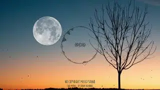 Free Non Copyrighted Music For YouTube | No Copyright Sound | No Copyright Gallery | NCG
