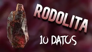 RODOLITA - [10 Datos Fascinantes]