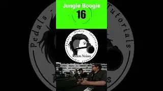 Nug or Chug Livestream