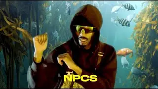 phsr - aquatic mine divin