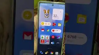 Cat Widget in MIUI 14 😍
