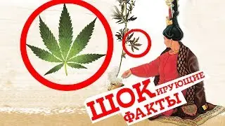 Принцесса Укока: наркотики и онкология