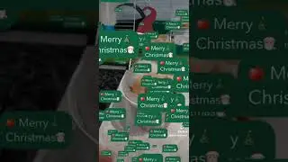 Новогодний Хомячок/ New Year's Hamster/Новорічний Хом ячок/新年倉鼠/Ամանորյա Համստեր/Жаңы жылдык хомяк