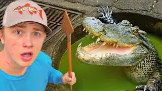 I Found Dying Animals in a Sewer!