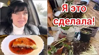 ✅ ЛУЧШЕ ЭТО СДЕЛАТЬ ПОЗДНО ЧЕМ ОЧЕНЬ ПОЗДНО  ✅ Ruta Vlog @HozajushkaRuta @RutaLutkevica