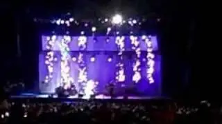 Eric Clapton - Wonderful Tonight  (LIVE) Tampa