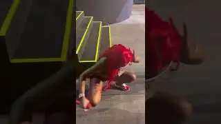 Sexyy Red Kodak Bopping On Tour 😂
