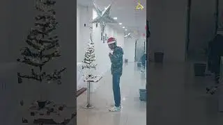 Christmas Moods 2023 | TeQ Mavens
