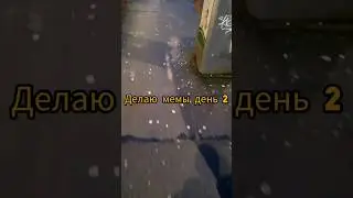 Собака убирает, а люди нет, до чего мы докатились
