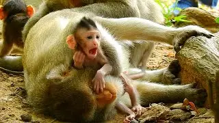 BABY CINN IS HUNGRY | GET UP MUMMY...I'M HUNGRY NOW