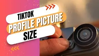 How to View TikTok Profile Picture and Enlarge It  The Best tool for TikTok profile picture size!