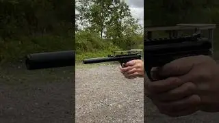 Ruger MK 4 or Taurus TX22