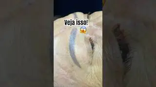 Melhor método para correção de micro mal sucedida: RETOUCH BROWS. 