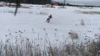 Avantis 172 распахал поле
