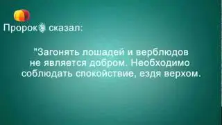 Мухаммад ас-Сакаф - Этика вождения автомобиля