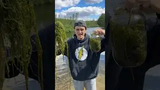 ТЕНИ ДЛЯ ГЛАЗ ИЗ ТИНЫ!?