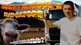 Беспредел на дорогах Монголии. Заехал на фуре в Аэропорт. Животный БУМ