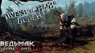 The Witcher: Wild Hunt - Мод "Школа Плотвы" (Запись стрима) №4